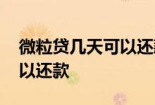 微粒贷几天可以还款吗 微粒贷第二天几点可以还款