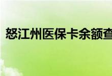 怒江州医保卡余额查询 怒江州医疗保险查询