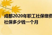 成都2020年职工社保缴费标准 2022年成都职工自己交职工社保多少钱一个月 