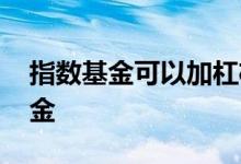 指数基金可以加杠杆吗 为什么不能买杠杆基金