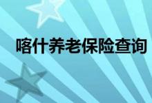 喀什养老保险查询 喀什个人养老保险查询