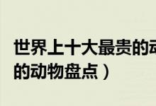 世界上十大最贵的动物排名（全球十大最值钱的动物盘点）