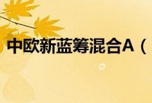中欧新蓝筹混合A（166002）基本信息查询