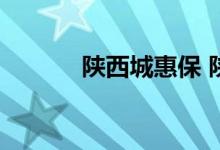 陕西城惠保 陕西惠秦保保什么