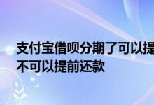 支付宝借呗分期了可以提前还款吗 借呗分期12个月后还可不可以提前还款
