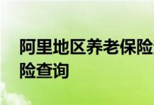 阿里地区养老保险查询 阿里地区个人养老保险查询