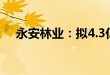 永安林业：拟4.3亿元向关联方出售资产