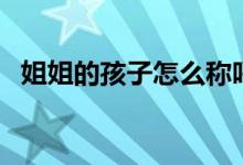 姐姐的孩子怎么称呼（姐姐的孩子叫什么）