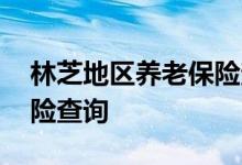 林芝地区养老保险查询 林芝地区个人养老保险查询