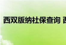 西双版纳社保查询 西双版纳个人社保卡查询