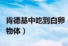 肯德基中吃到白卵（鸡腿上有细小的白色卵状物体）