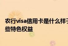 农行visa信用卡是什么样子的 农行Visa冬奥主题信用卡有哪些特色权益