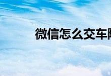 微信怎么交车险 车险一般在哪交