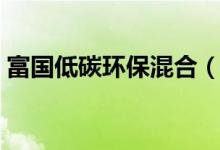 富国低碳环保混合（100056）基金投资分析