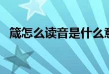 箴怎么读音是什么意思是什么（箴怎么读）