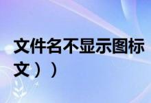 文件名不显示图标（文件名不显示怎么办（图文））