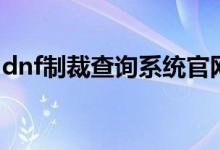 dnf制裁查询系统官网（dnf制裁查询的方法）