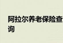 阿拉尔养老保险查询 阿拉尔个人养老保险查询