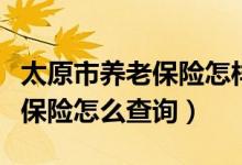 太原市养老保险怎样缴纳及标准（太原市养老保险怎么查询）