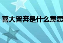 喜大普奔是什么意思（喜大普奔是什么意思）