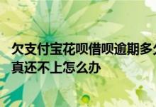 欠支付宝花呗借呗逾期多久被起诉 借呗花呗逾期会被起诉吗真还不上怎么办