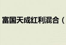 富国天成红利混合（100029）基金投资分析