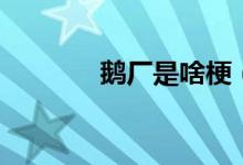 鹅厂是啥梗（鹅厂是什么梗）