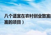 八个适宜在农村创业致富的好项目（八个适宜在农村创业致富的项目）