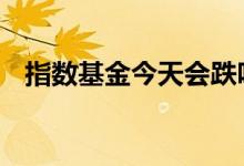 指数基金今天会跌吗 指数基金周末会涨吗