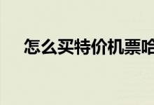 怎么买特价机票哈尔滨 怎么买特价机票