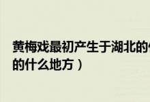 黄梅戏最初产生于湖北的什么地方（黄梅戏最初产生于湖北的什么地方）