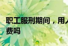 职工服刑期间，用人单位可以不缴纳社会保险费吗