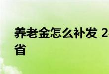 养老金怎么补发 24省补发5年养老金有哪些省 