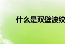 什么是双壁波纹管（什么是冬九九）