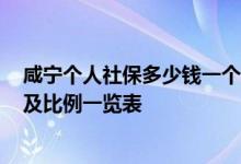 咸宁个人社保多少钱一个月 2022年咸宁社保缴费标准基数及比例一览表 