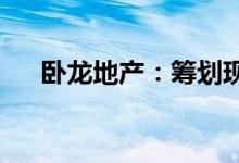 卧龙地产：筹划现金收购浙江卧龙矿业