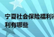 宁夏社会保险福利待遇标准，宁夏社会保险福利有哪些