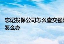 忘记投保公司怎么查交强险保单 交强险忘记是哪个保险公司怎么办