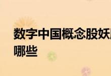 数字中国概念股妖股 数字中国概念股龙头有哪些
