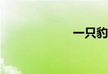 一只豹猫多少钱？