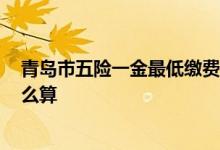 青岛市五险一金最低缴费多少钱一个月2022年 各项费用怎么算 