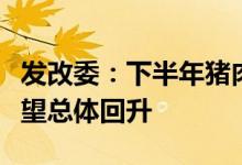 发改委：下半年猪肉消费逐步增加生猪价格可望总体回升