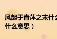 风起于青萍之末什么意思呀（风起于青萍之末什么意思）