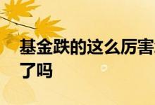 基金跌的这么厉害怎么办 基金老跌就没人管了吗