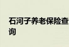 石河子养老保险查询 石河子个人养老保险查询