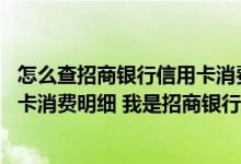 怎么查招商银行信用卡消费明细 在哪里可以找到自己的信用卡消费明细 我是招商银行的信用卡用户