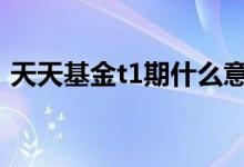 天天基金t1期什么意思 天天基金t1什么意思
