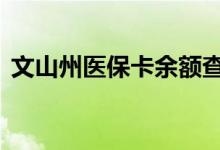 文山州医保卡余额查询 文山州医疗保险查询