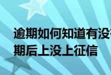 逾期如何知道有没有上征信 怎么查看自己逾期后上没上征信