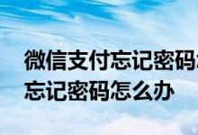 微信支付忘记密码怎么办没银行卡 微信支付忘记密码怎么办